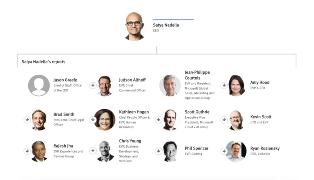 An organization chart showing the employees of Microsoft.