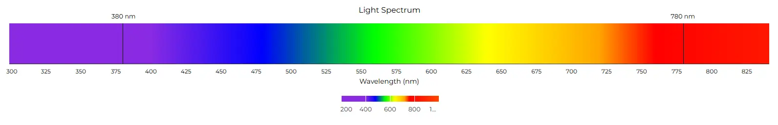 Chart of the light spectrum showing wavelength ranges in nanometers.