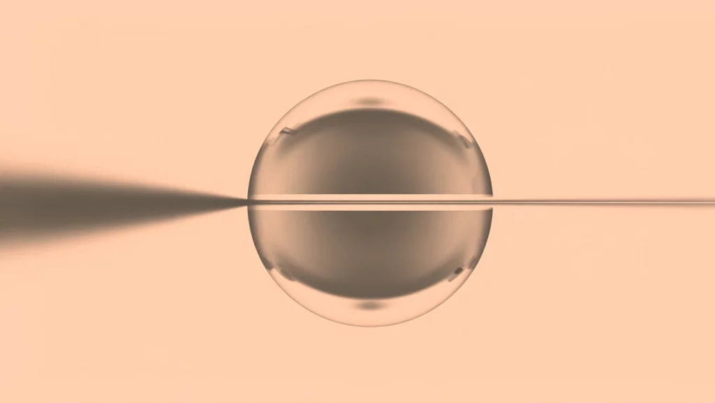 Abstract 3D metallic sphere art serving as a creative visual element for a modern portfolio dashboard design.