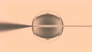 Abstract 3D metallic sphere art serving as a creative visual element for a modern portfolio dashboard design.