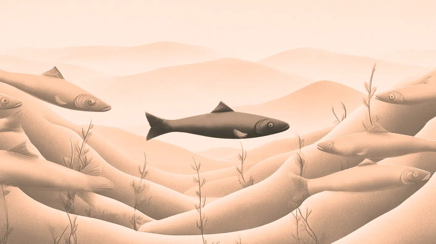 Stylized illustration of fish silhouettes swimming over sandy dunes on a sepia-toned underwater background.