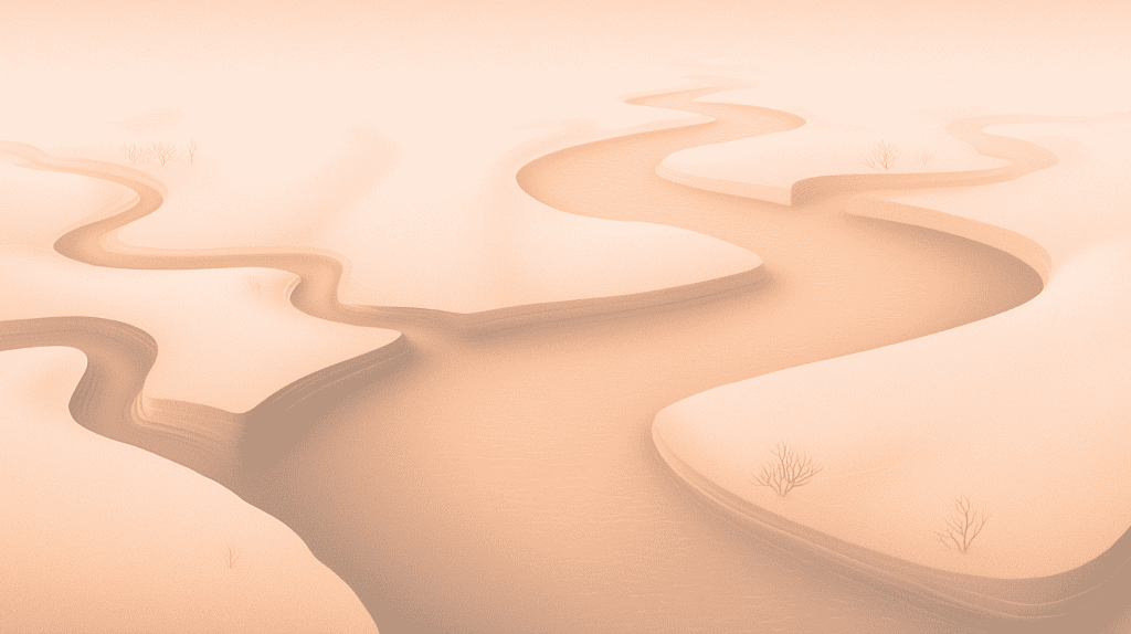 Cashflow insights: visualizing incoming and outgoing capital