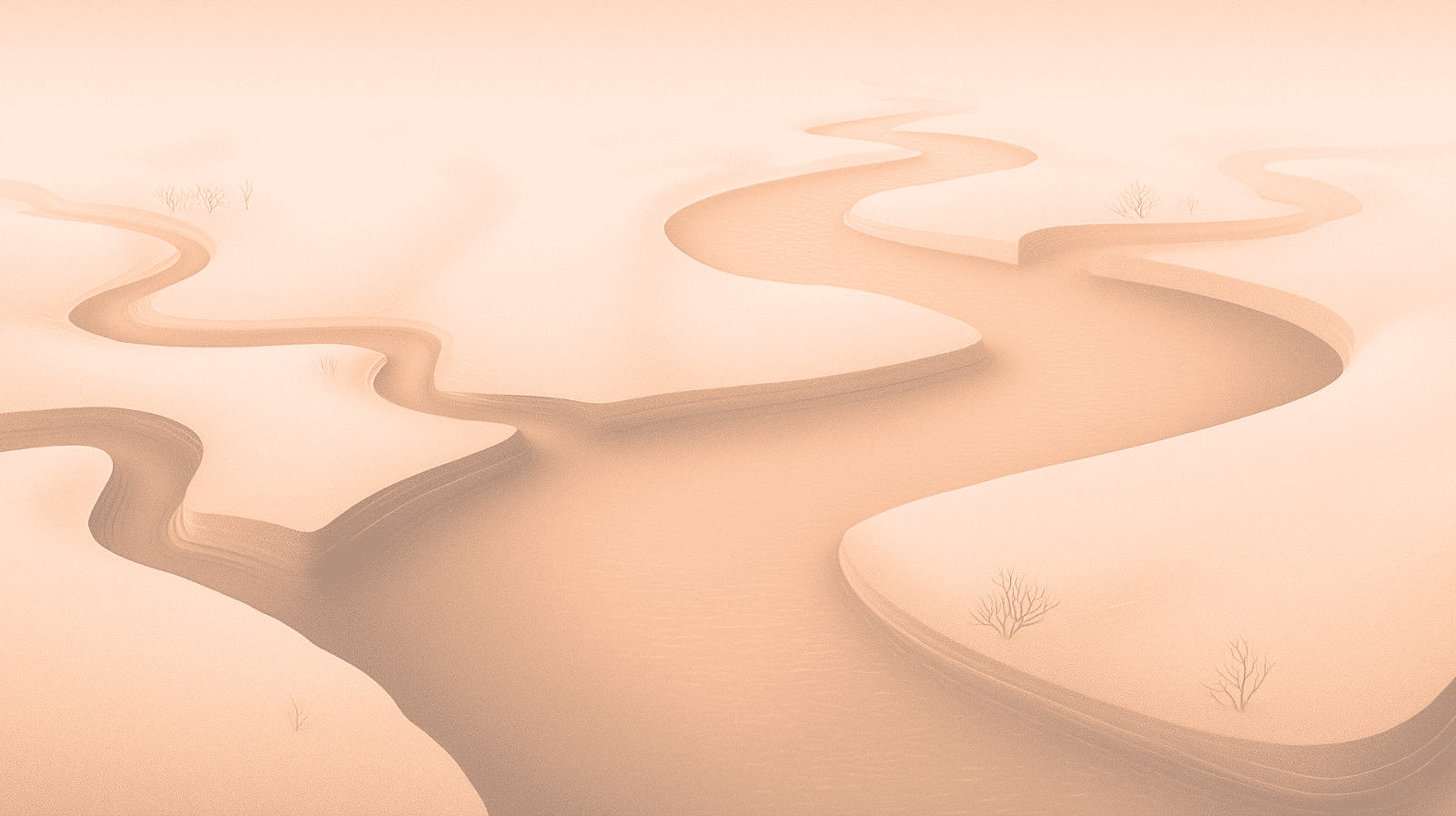 Cashflow insights: visualizing incoming and outgoing capital